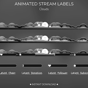 Animated Stream Overlay Label Pack | Ready to use | Twitch | Recent Alerts | Customisable | Black & White | Cute | Stream Overlays