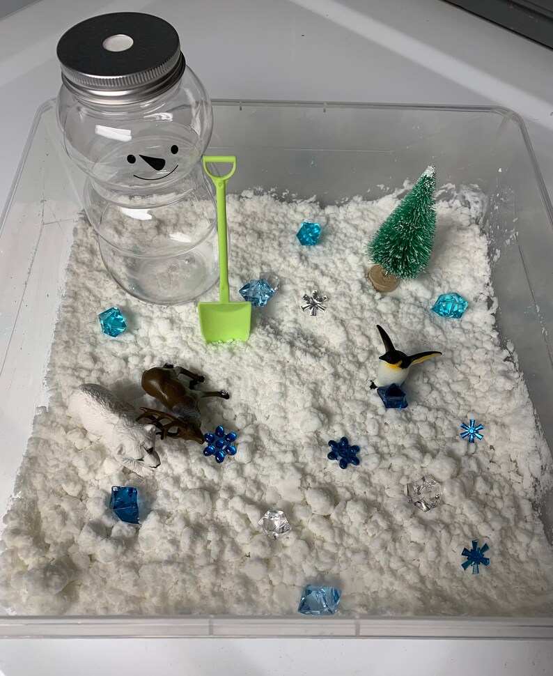 Winter Themed Sensory Bin Etsy