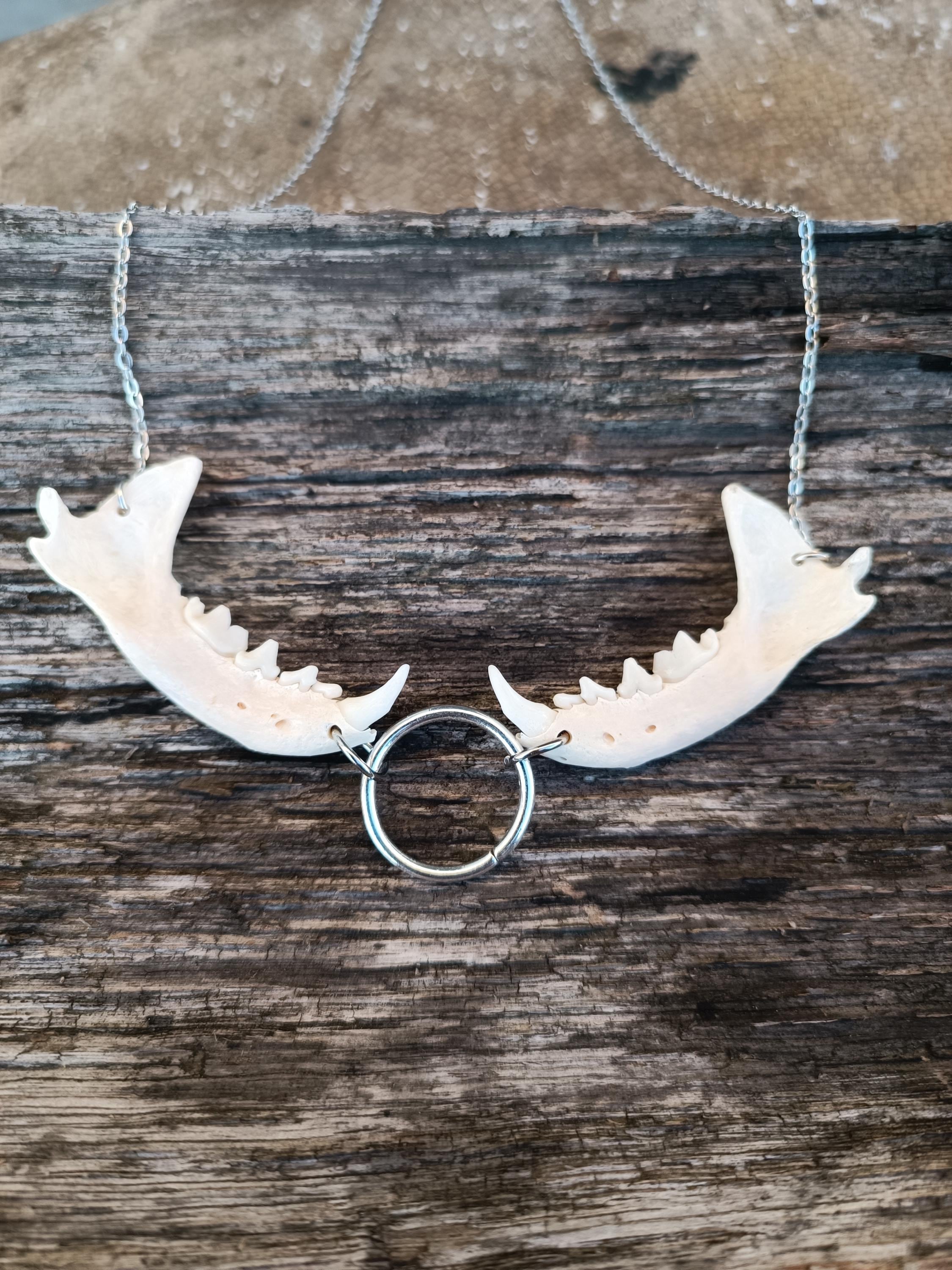 NEW:リアルボーンネックレス:ハンドメイド:骨ネックレス【本物鶏骨使用】 本物の骨のネックレス - Etsy 日本