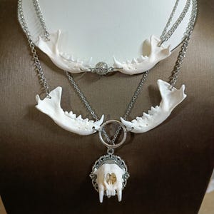 Real Bone Necklace - Etsy