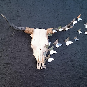 Real bull skull. cow skull, Home decor, Gothic.