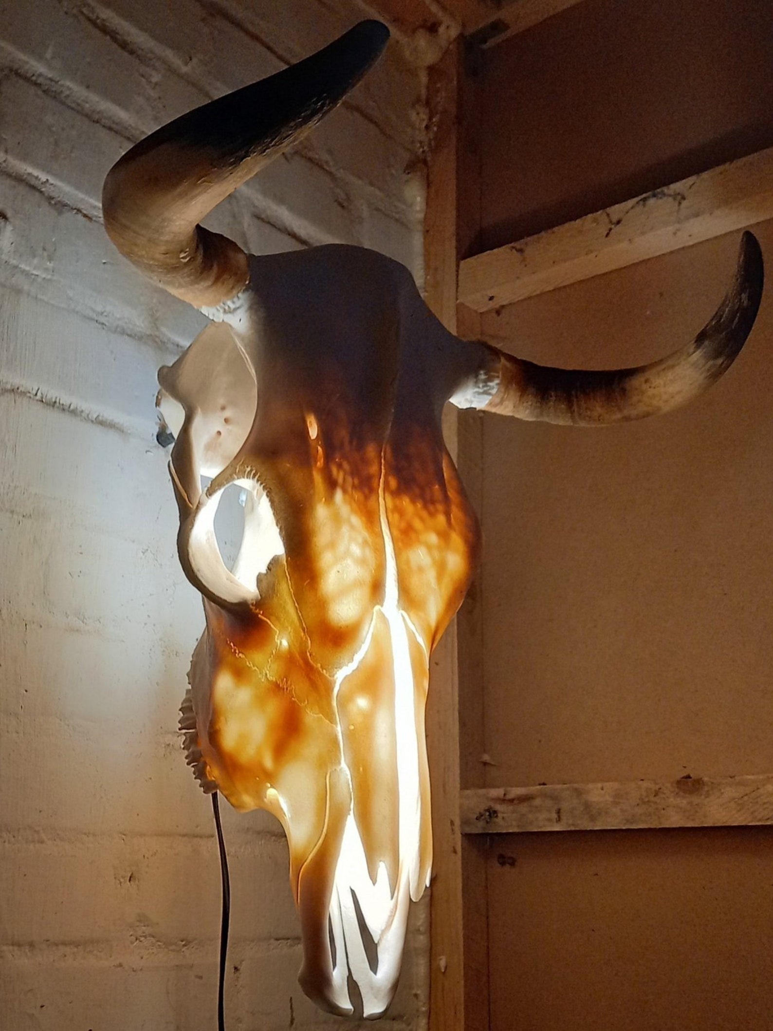 Real Bull Skull Lamp. Processed and Whitened - Etsy