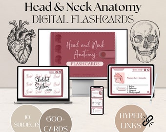 Peut inclure: Cartes mémoire numériques pour apprendre l'anatomie de la tête et du cou. L'image montre un ordinateur portable, une tablette et un smartphone affichant les cartes mémoire. Les cartes mémoire présentent des illustrations du système squelettique, des amygdales et d'autres structures anatomiques. Le texte sur les cartes mémoire comprend les mots "Système squelettique", "Anatomie de la tête et du cou" et "Nommez les 4 amygdales". L'image comprend également une illustration de cœur et de crâne.