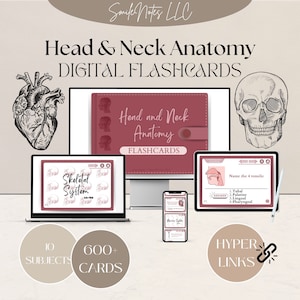 Flashcards Digitais de Anatomia de Cabeça e Pescoço. Enfermagem | Odontologia | Higiene Dental | Guia de Estudo de Anatomia | Anotações Médicas | Preparação para Exames