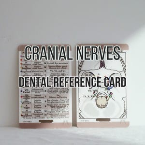 Nervios craneales. Tarjeta de referencia rápida, tarjeta de estudio, higienista dental, asistente dental, escuela de higiene, carrete de insignias