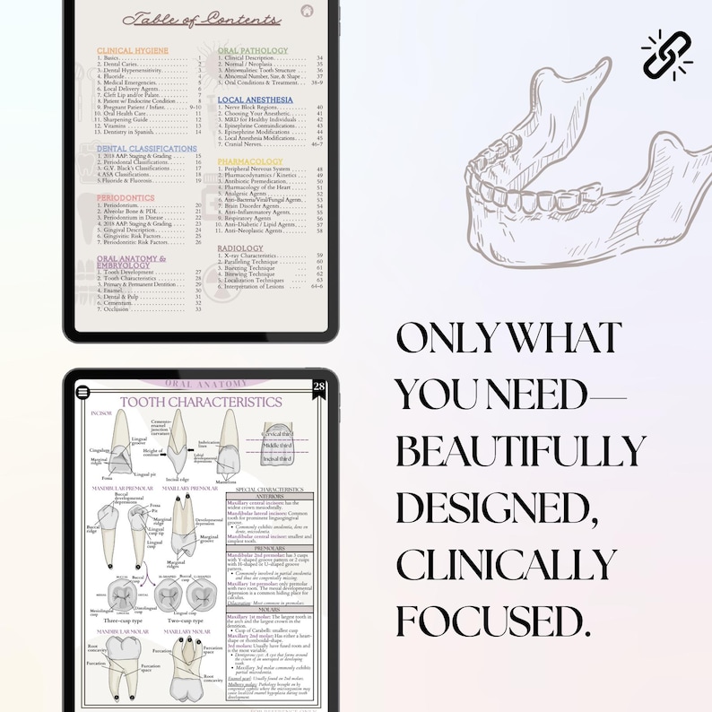 May include: Two digital tablets display dental study notes. The top screen shows a Table of Contents for clinical hygiene and oral pathology. The bottom screen details tooth characteristics with anatomical diagrams. Text reads: Only what you need&mdash;beautifully designed, clinically focused.