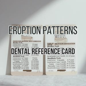 Padrões de Erupção. Cartão de Referência Rápida, Cartão de Estudo, Higienista Dental, Assistente de Dentista, Escola de Higiene, Carretel de Crachás
