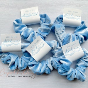 May include: Six light blue velvet scrunchies with white labels that say "She is on cloud nine".