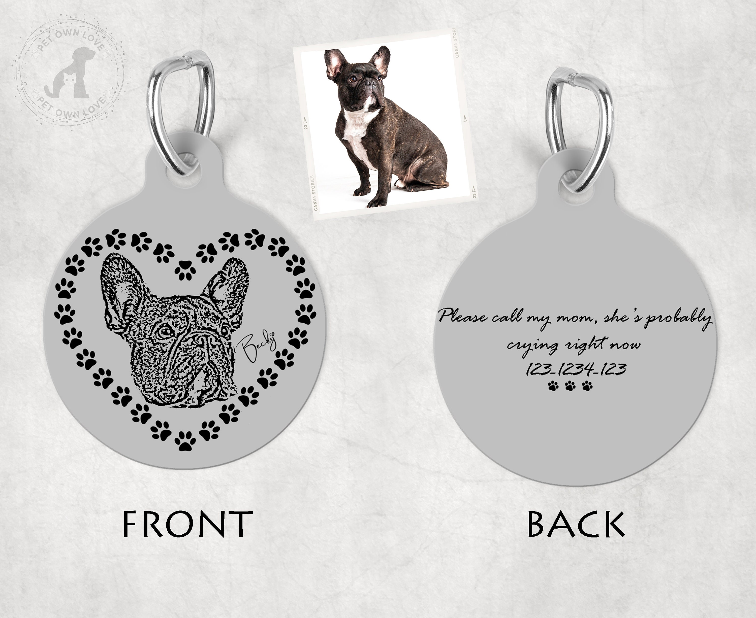 dog id tags and collars