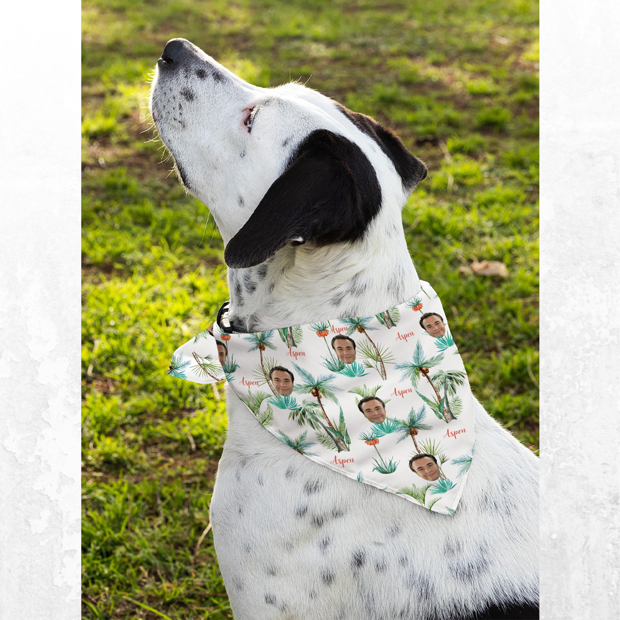 Personalized Dog Bandanas With Pet Photo Custom White Etsy