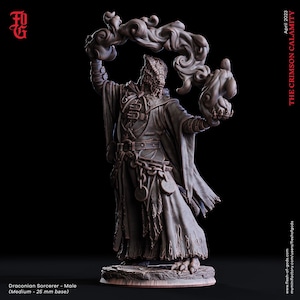 Draconian Sorcerer (Male) - The Crimson Calamity (sculpted by Flesh of Gods miniatures)