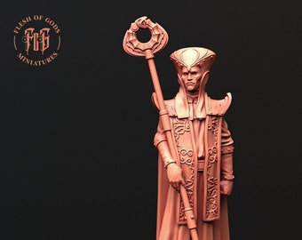 High Order Official (sculpted by Flesh of Gods miniatures)