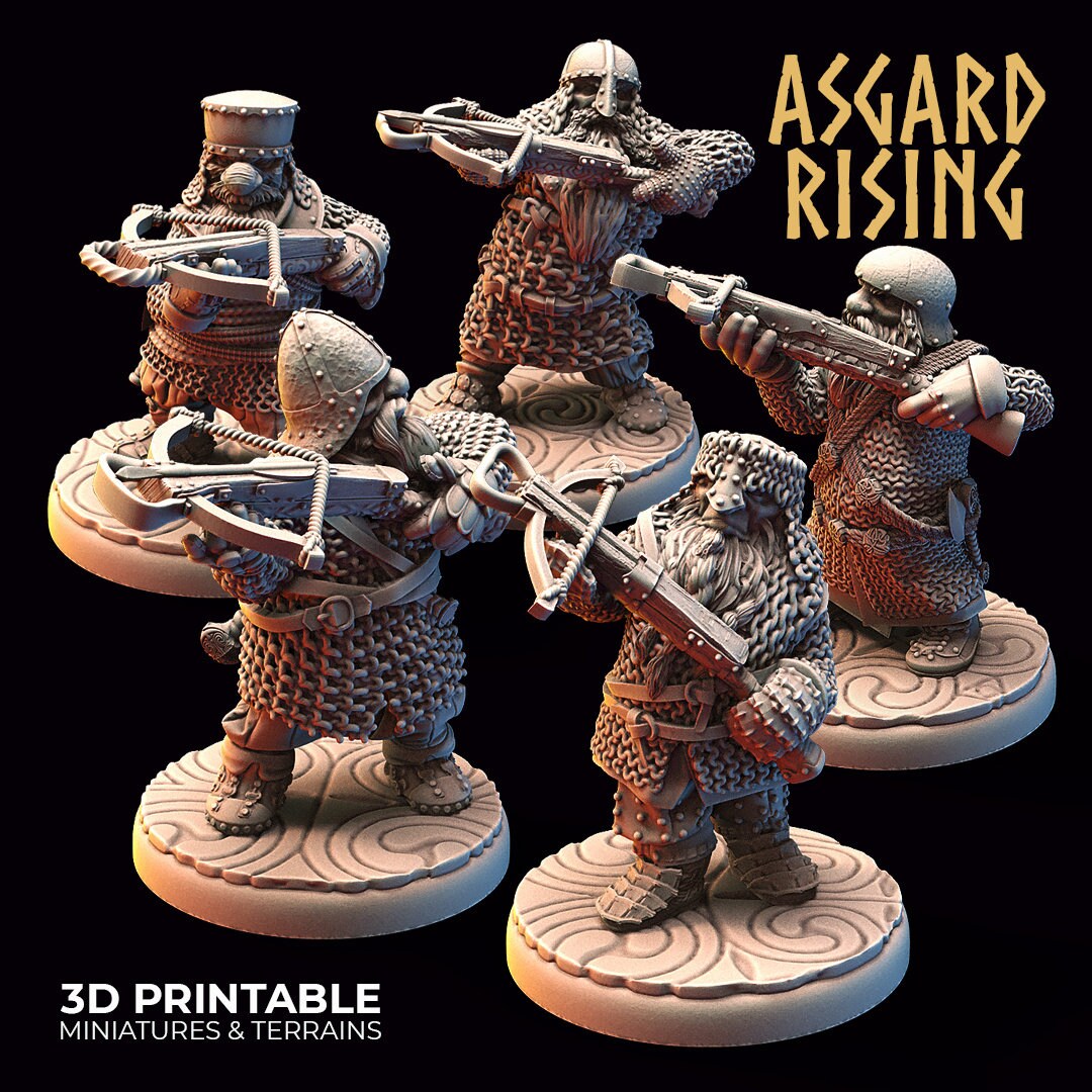 Dwarf Crossbow & Chain Mail Modular Warband set of 5 by Asgard Rising