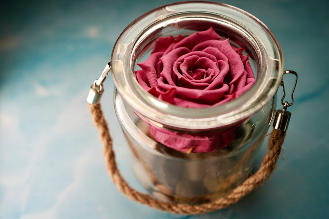 Luxury Preserved Rose Inside Glass Dome Wedding Decor Rose Real
