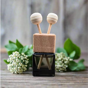 May include: A small square glass bottle with a dark liquid, topped with a light-colored wooden block. Two wooden sticks with rounded, grooved tops extend upward from the wooden block. The bottle is clear and features a simple, geometric design.