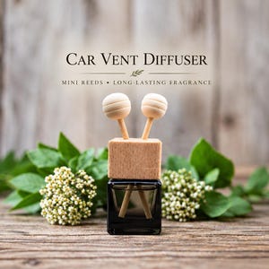 Mini Reed Diffuser | Car Air Freshener | Organic Coconut Oil | Phthalate-Free Fragrance | Vent Diffuser