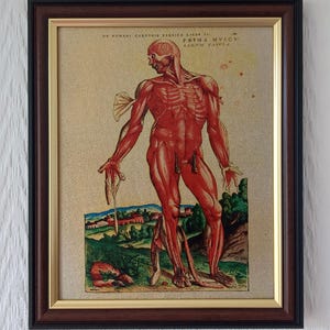 Prima Musculorum Tabula | Andreas Vesalius, 1543 | Handmade Reproduction on Canvas | 8"x10" | Choice of Frames
