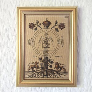 May include: A framed rectangular print featuring an intricate alchemical illustration with a central triangle, a crown, two lions, and Latin text including 'SPIRITVS', 'ANIMA', and 'ELEMENTA'. The artwork is set in a metallic gold-toned frame.