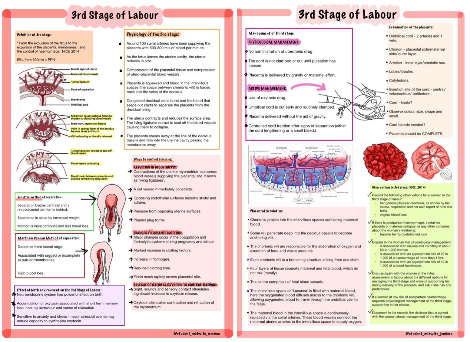 3rd Stage of Labour Etsy