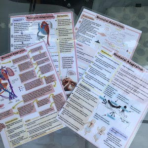 Neonatal Adaptation