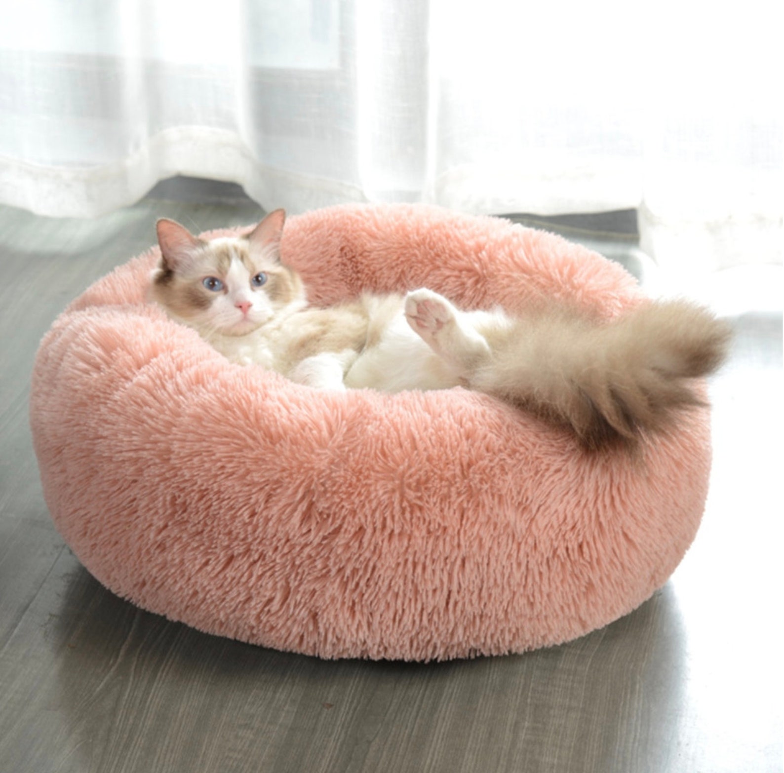 Squishmallow Pet Bed Cosy Pet Bed Plush Cat Dog Bed Calming Etsy