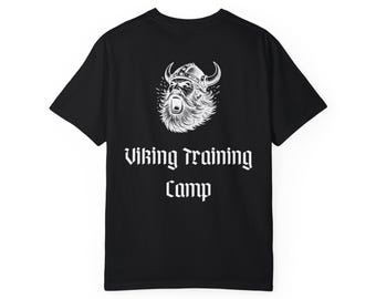 Epic universe How to Train Your Dragon / Viking Training T-Shirt, Unisex Casual Tee