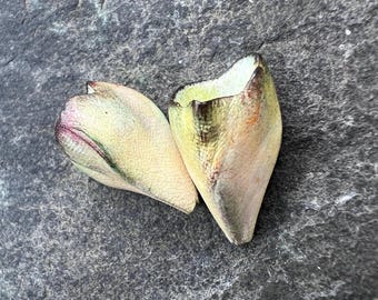 Artisan pods, earring components, organic beads, jewellery making, nature inspired beads.