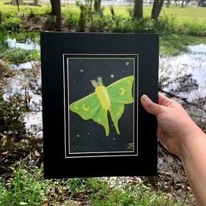 Framed Green Moon Moth in the Night