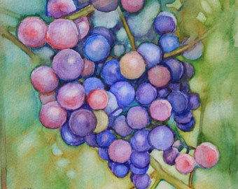 painting of grapes, grapes on the vine, wine art, wine grapes,