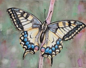 butterfly watercolor painting, butterfly painting, butterfly on a branch