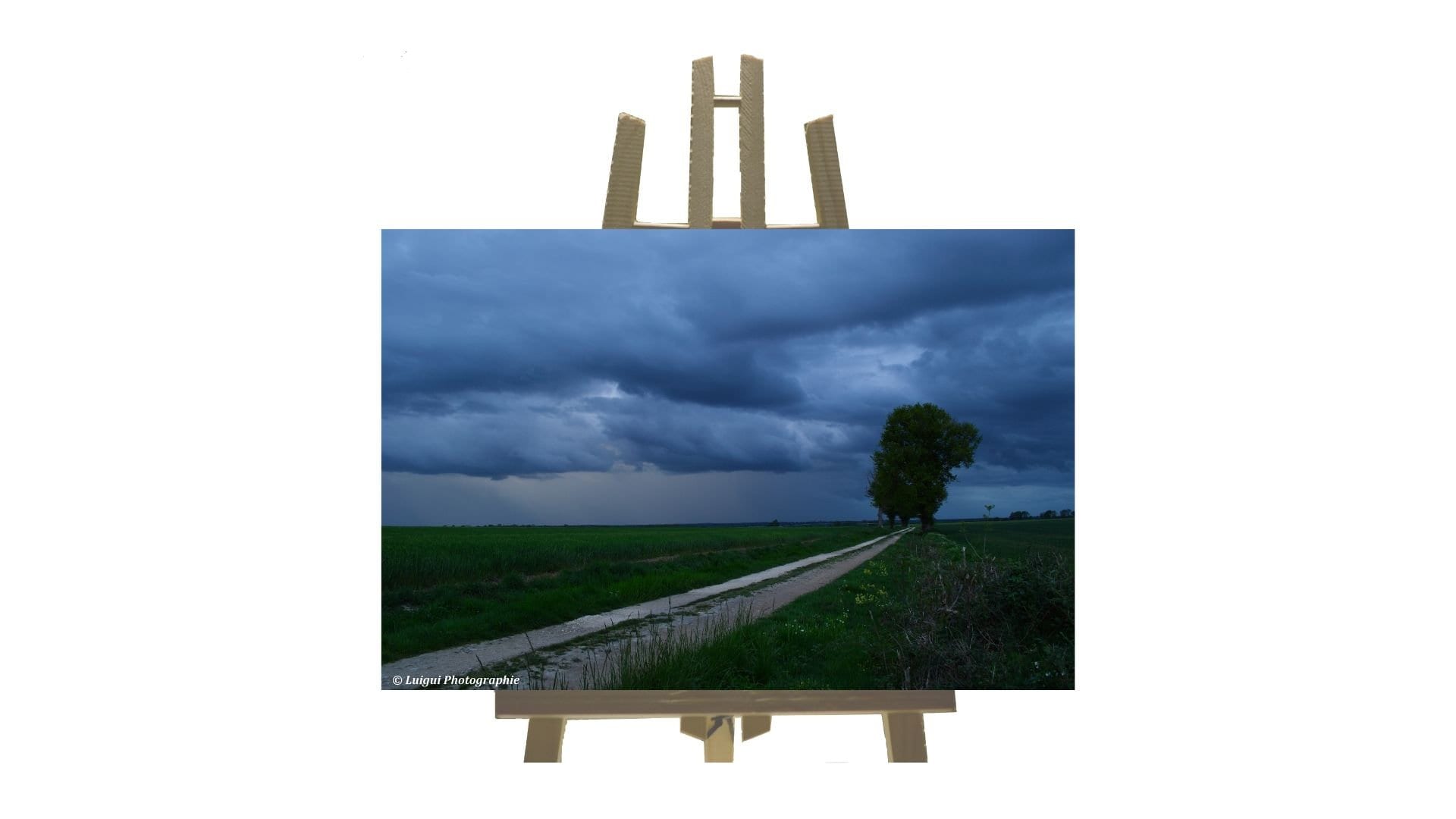 Plexiglas | Photographe 40x60 Paysage Mystérieux Région Poitou Charente Vienne Département 86