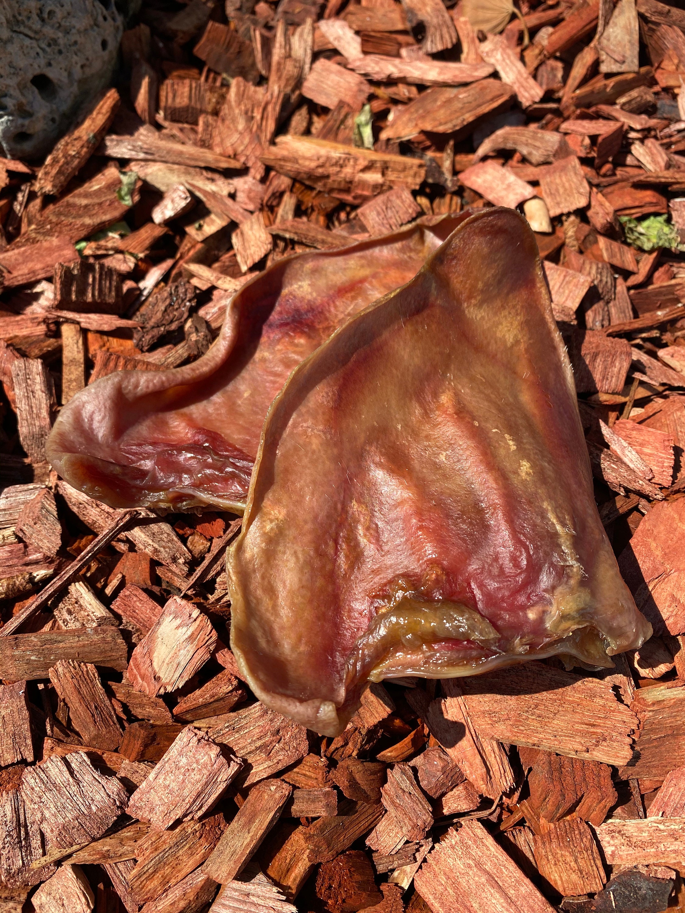 Dehydrated Pig Ears Etsy