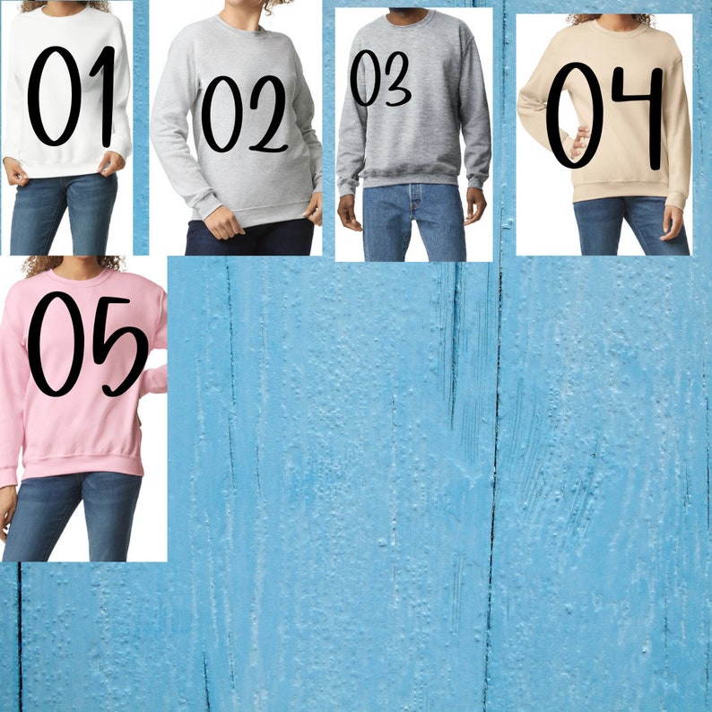May include: Five different colored sweatshirts with numbers 01 through 05 printed on the front. The sweatshirts are all crew neck and long-sleeved.