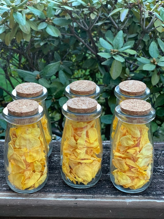 Dried Yellow Rose Petals Etsy