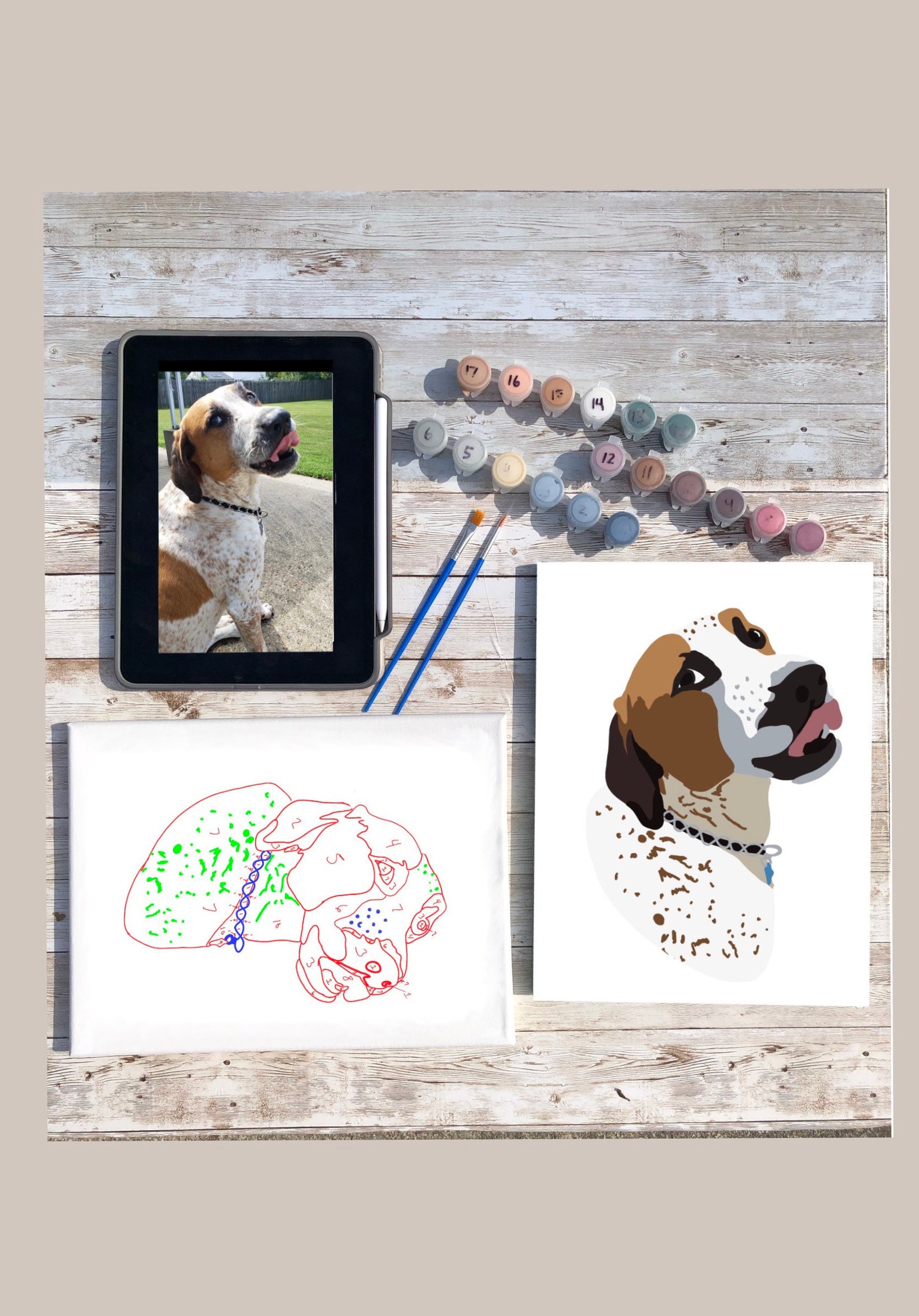 Custom Pet Paint By Number Kit Personalized Paint By Number Etsy