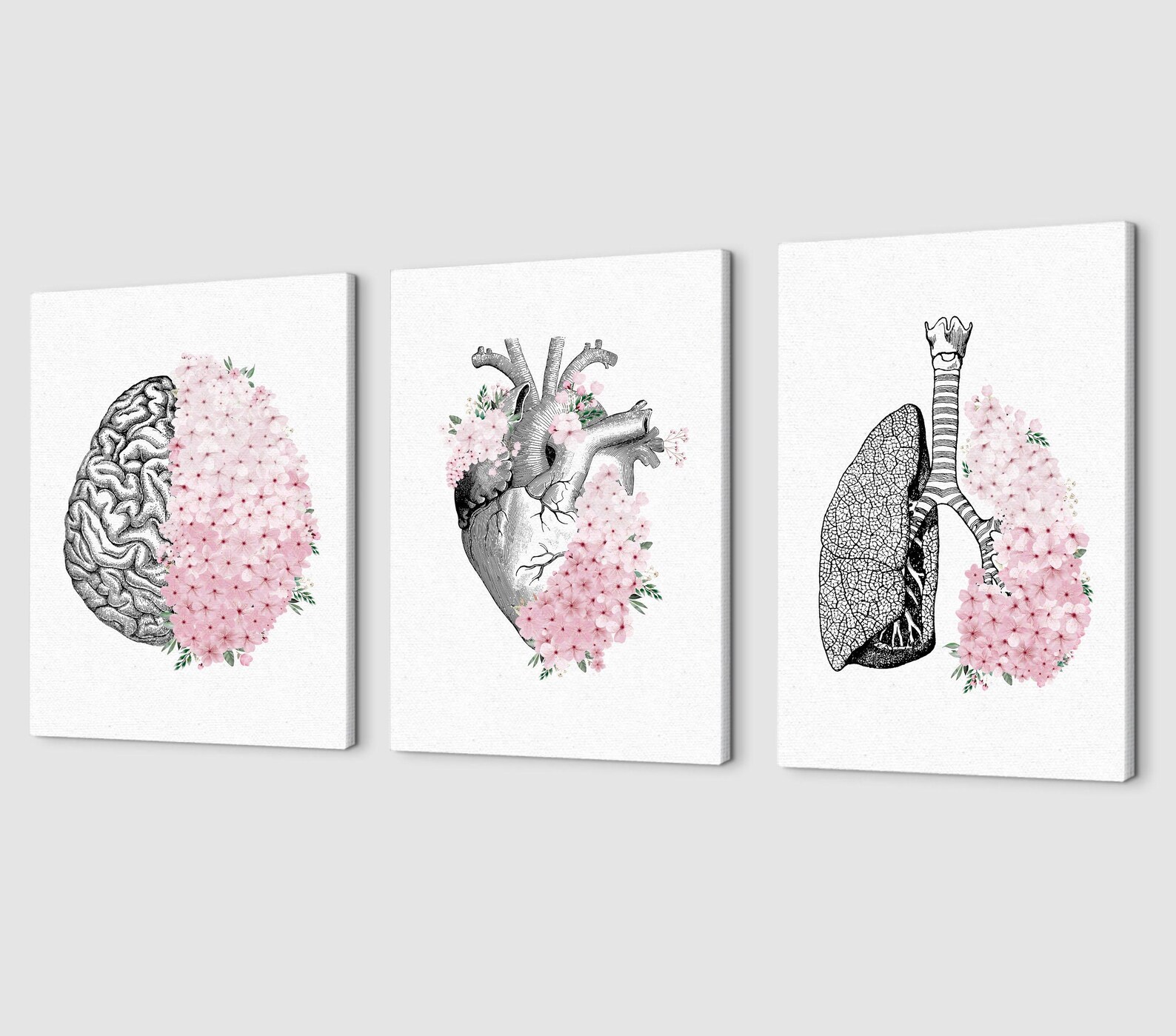 Floral Anatomy Print Set | Brain, Heart, Lungs | Medical Wall Art - Etsy