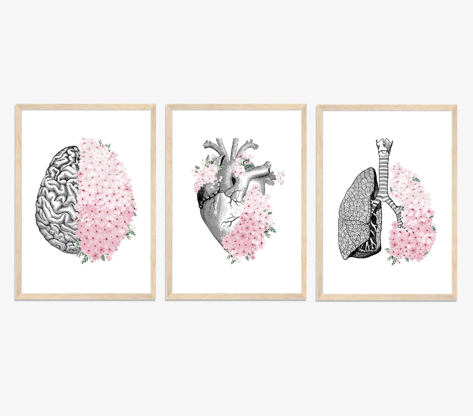 Floral Anatomy Print Set | Brain, Heart, Lungs | Medical Wall Art - Etsy