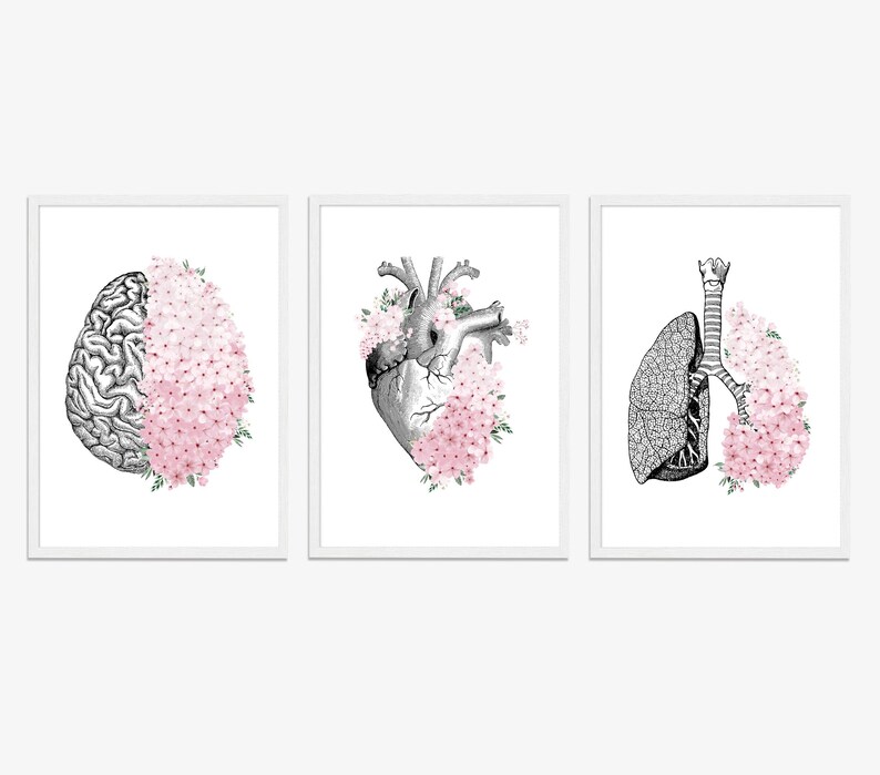 Floral Anatomy Print Set | Brain, Heart, Lungs | Medical Wall Art - Etsy