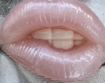 Pillow Talk Resin Lips Workstation Art  Magnet:Light Pink
