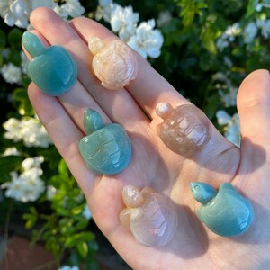Flower Agate Mini Turtles | Sakura Cherry Blossom Flower Agate | Green Flower Agate | High Quality | Crystal Turtles