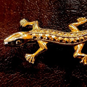 May include: A gold-toned lizard brooch with a detailed, textured surface. The lizard is in a walking pose with its tail curled up.