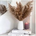 Fluffy Brown Pampas Grass | 55cm - 5/10/20 Stems | Dried Flowers | Dried Flower Bouquet | Pampas Grass Bouquet | Home Decor | Flower Bouquet 