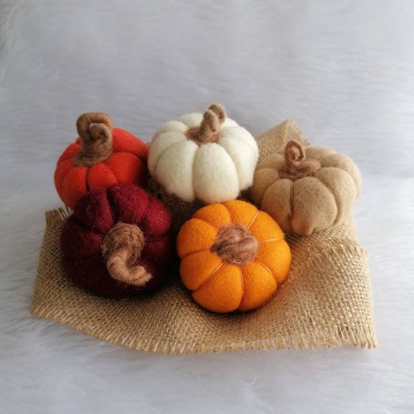 Pumpkin Set, Autumnal, Fall, Autumn, Thanks Giving, Pumpkin Decoration,table decor,Halloween ornaments,MADE TO ORDER.felt pumpkins .