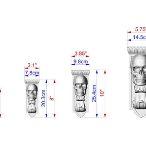 a series of four skull-like sculptures, each with different sizes and dimensions. The skulls are depicted in various positions, and the image provides measurements for each sculpture, including the height and width.