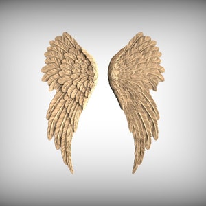 Angelic Wooden Feather Wings Wall Art, 1 pair, decorative wood trim, distressed angel wings