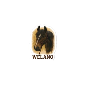 Bubble-free stickers Realistic Horse Print WELANO