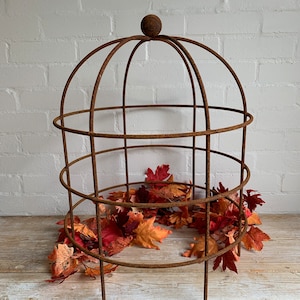 May include: A rusty metal plant cage with a domed top and three legs. The cage is surrounded by orange and red autumn leaves.