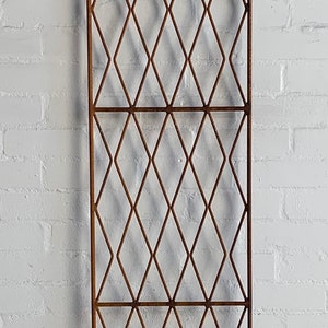 May include: A rusty metal trellis with a diamond pattern. The trellis is standing upright against a white brick wall. There are autumn leaves at the bottom of the image.