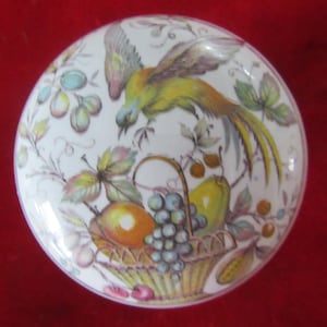 Vintage Set (komplett) von Paradiesvogel handbemalte Porzellan Durchgang Türklinken mit Porzellan Rosetten.