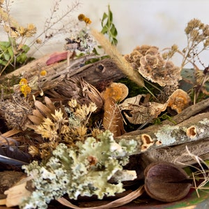 Forest Finds Craft Mystery Box Foraged Curated Collection Assortment